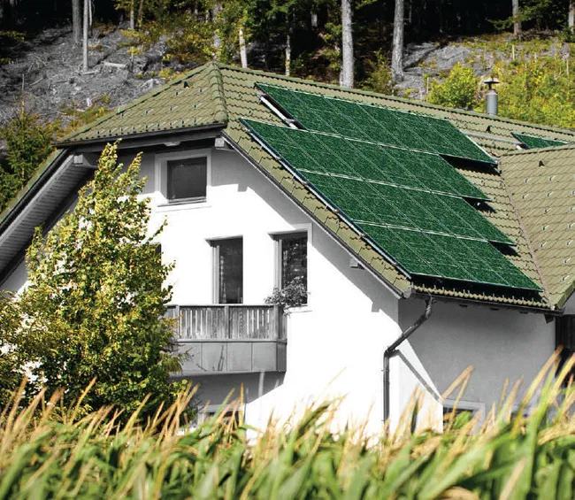 10er-Pack olivgrüne Solarmodule 300 W - Image 3